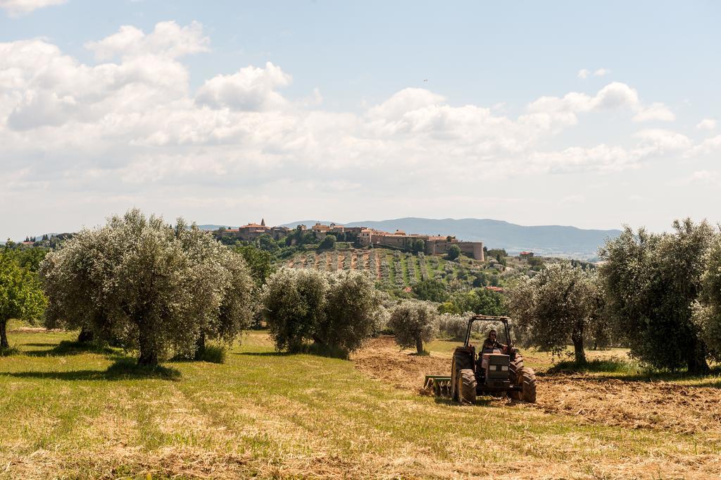Campospillo Villa Magliano in Toscana Luaran gambar